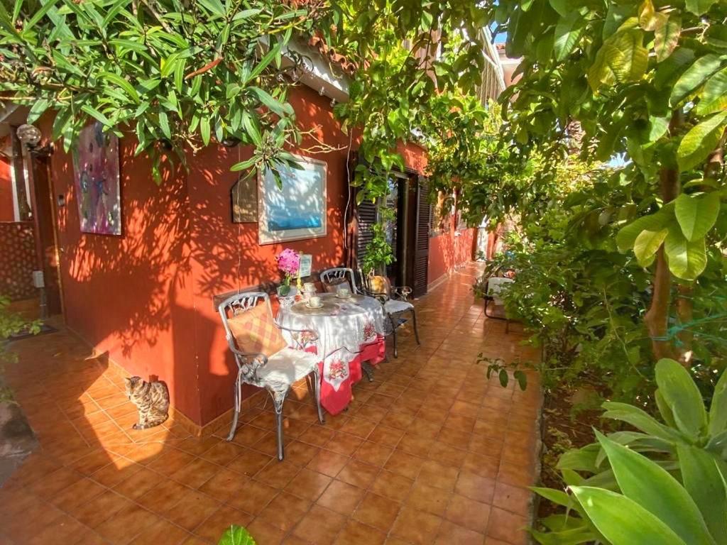 Moringa Garden Spa Chayofa Zewnętrze zdjęcie